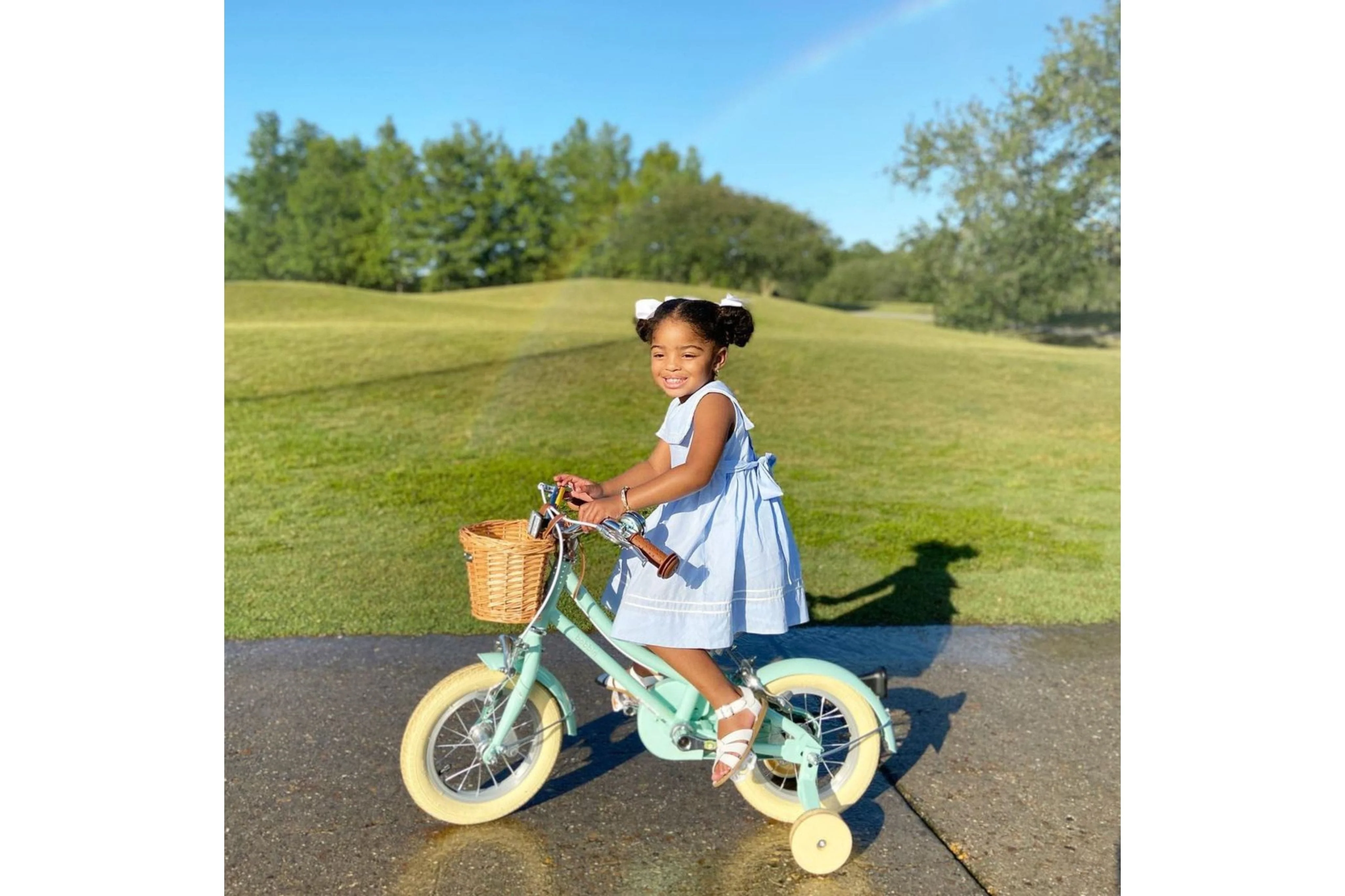 Gingersnap 12" Wheel - Image 10