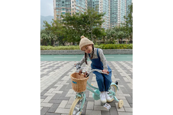 Gingersnap 12" Wheel - Image 11