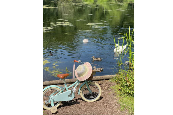 Gingersnap 12" Wheel - Image 15