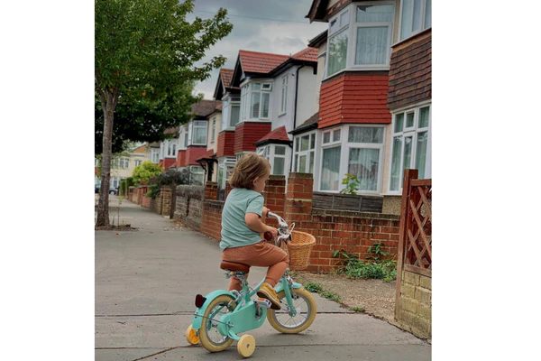 Gingersnap 12" Wheel - Image 16