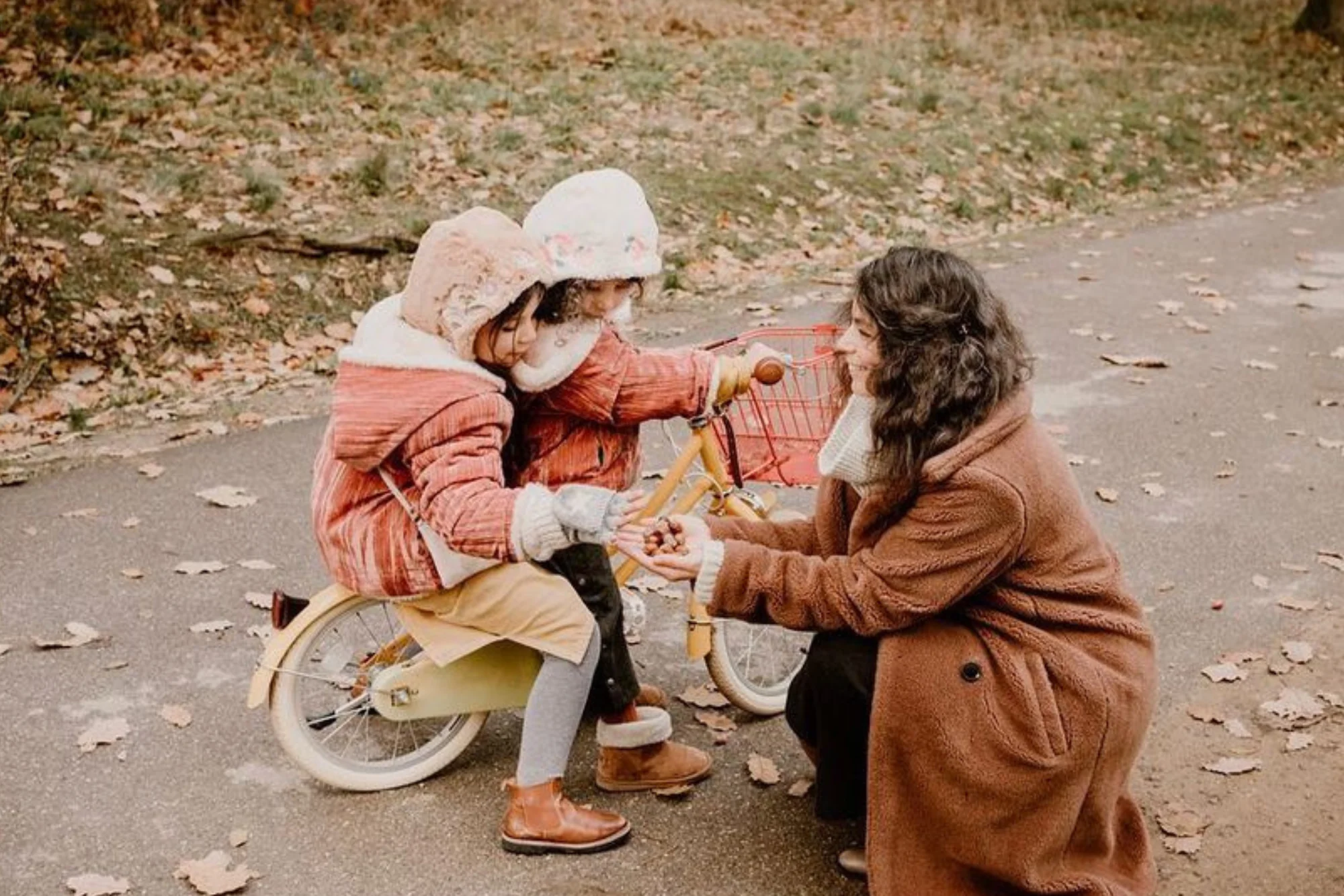 Gingersnap 12" Wheel - Image 33