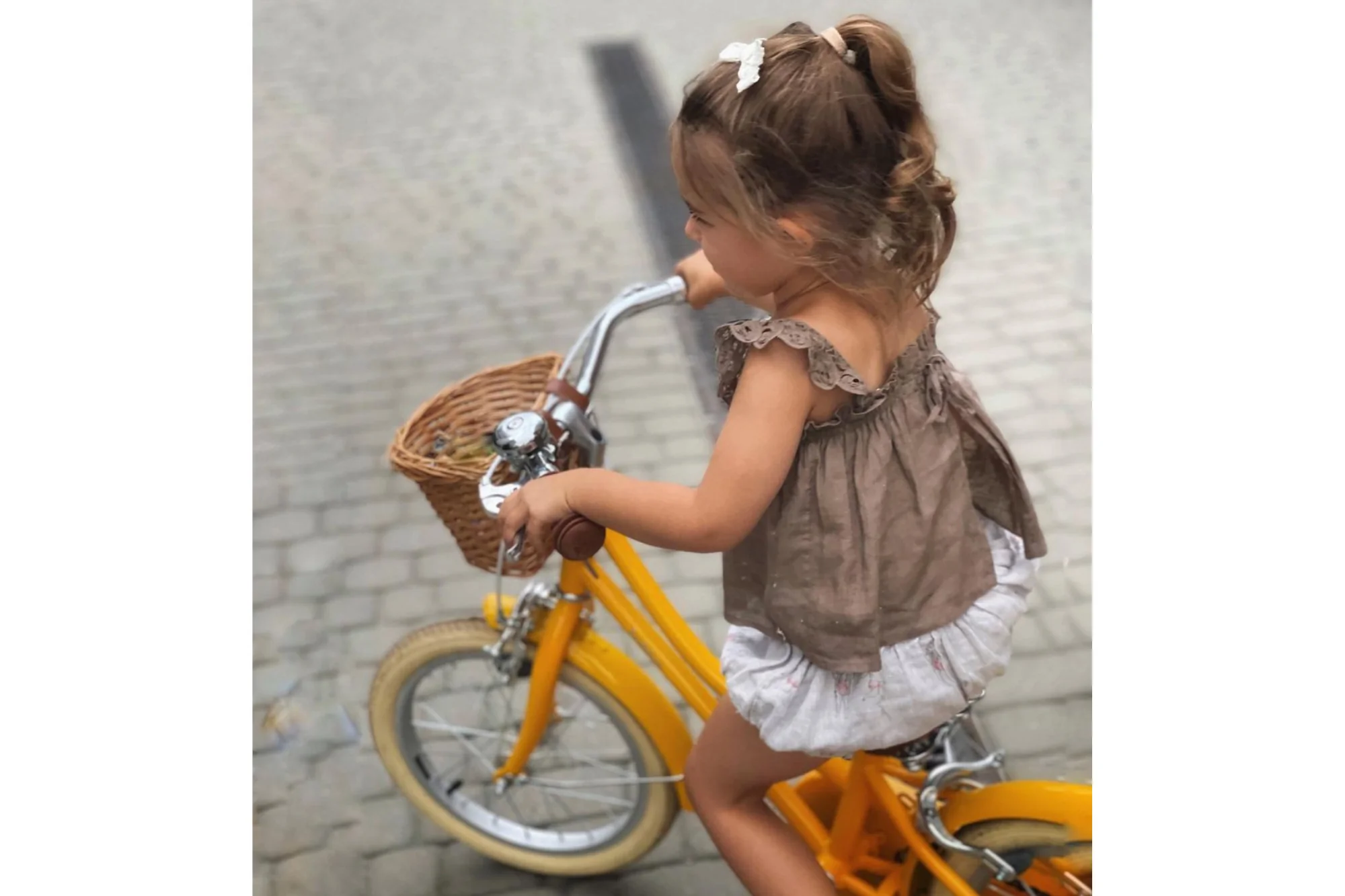 Gingersnap 12" Wheel - Image 35