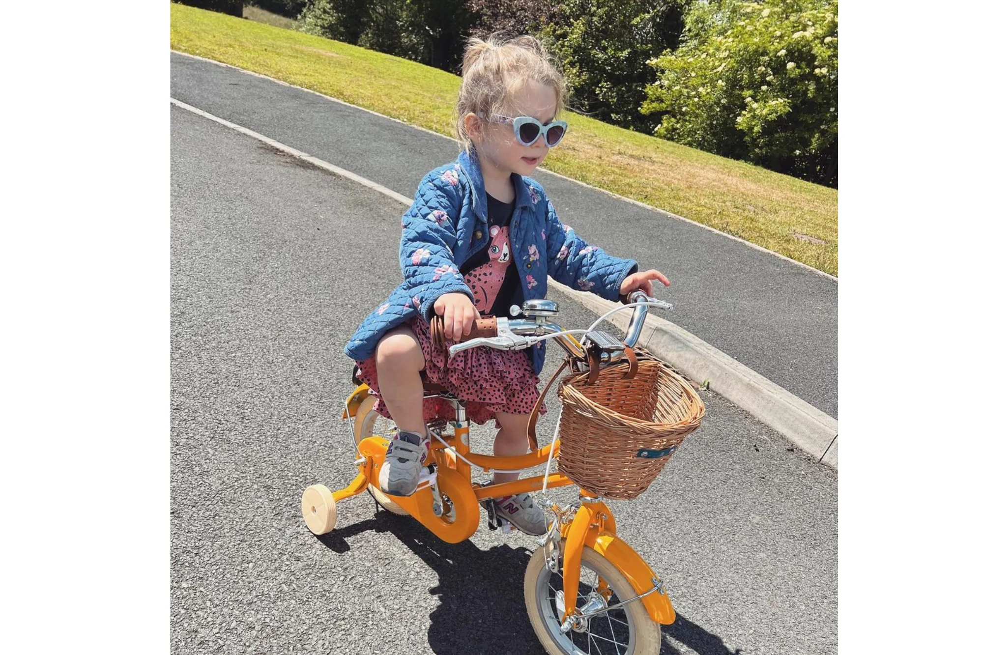 Gingersnap 12" Wheel - Image 36