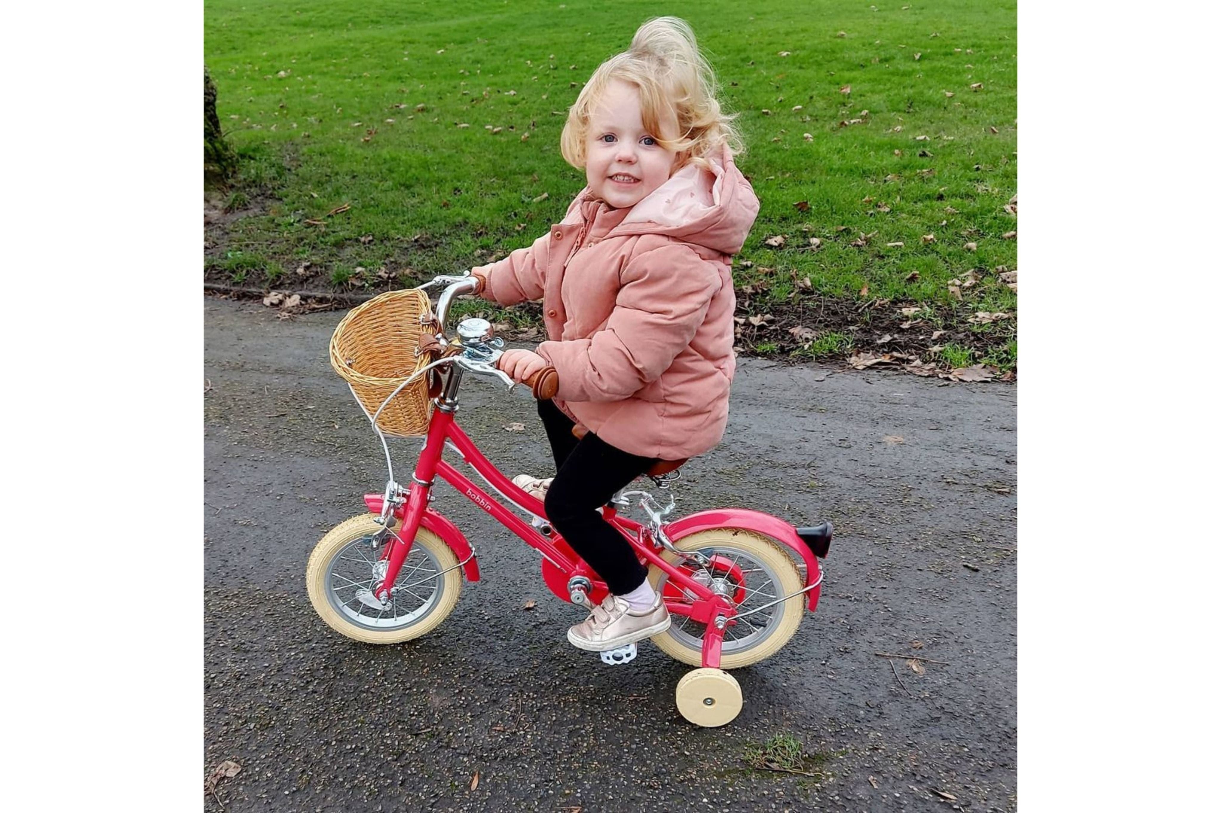 Gingersnap 12" Wheel - Image 43