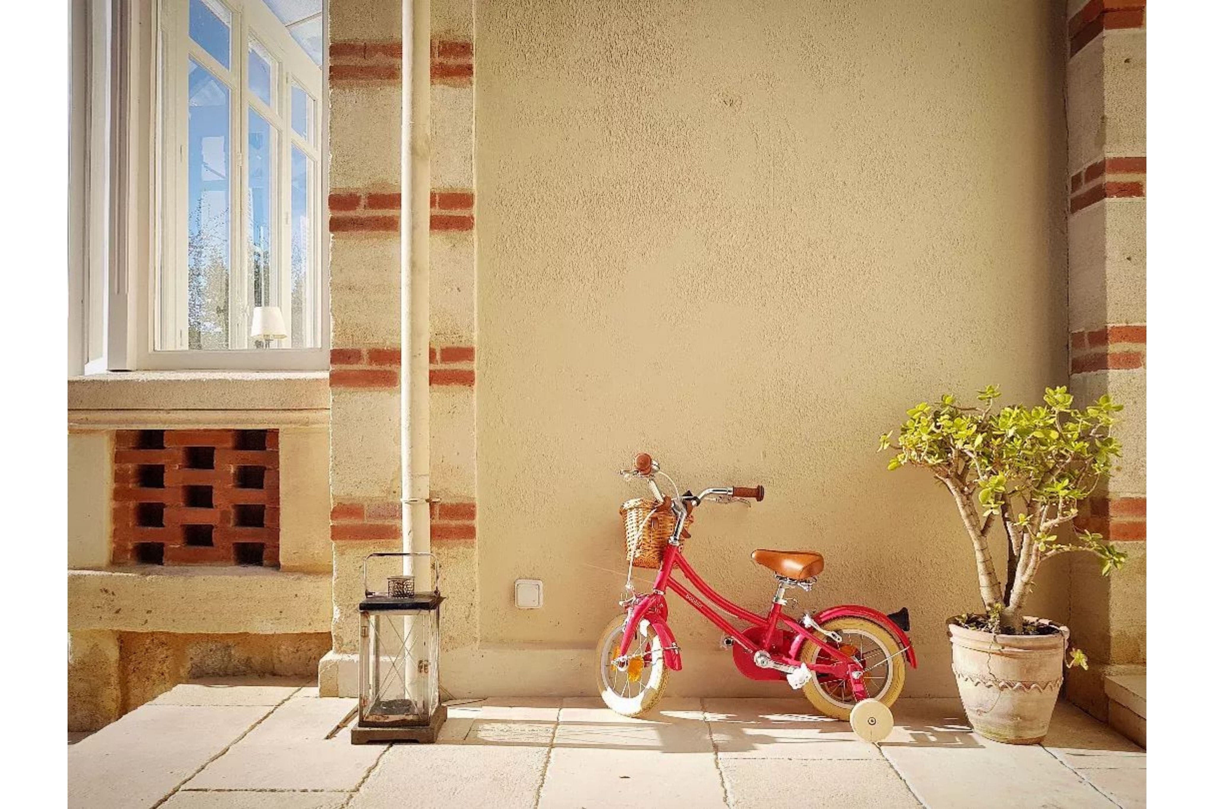 Gingersnap 12" Wheel - Image 46