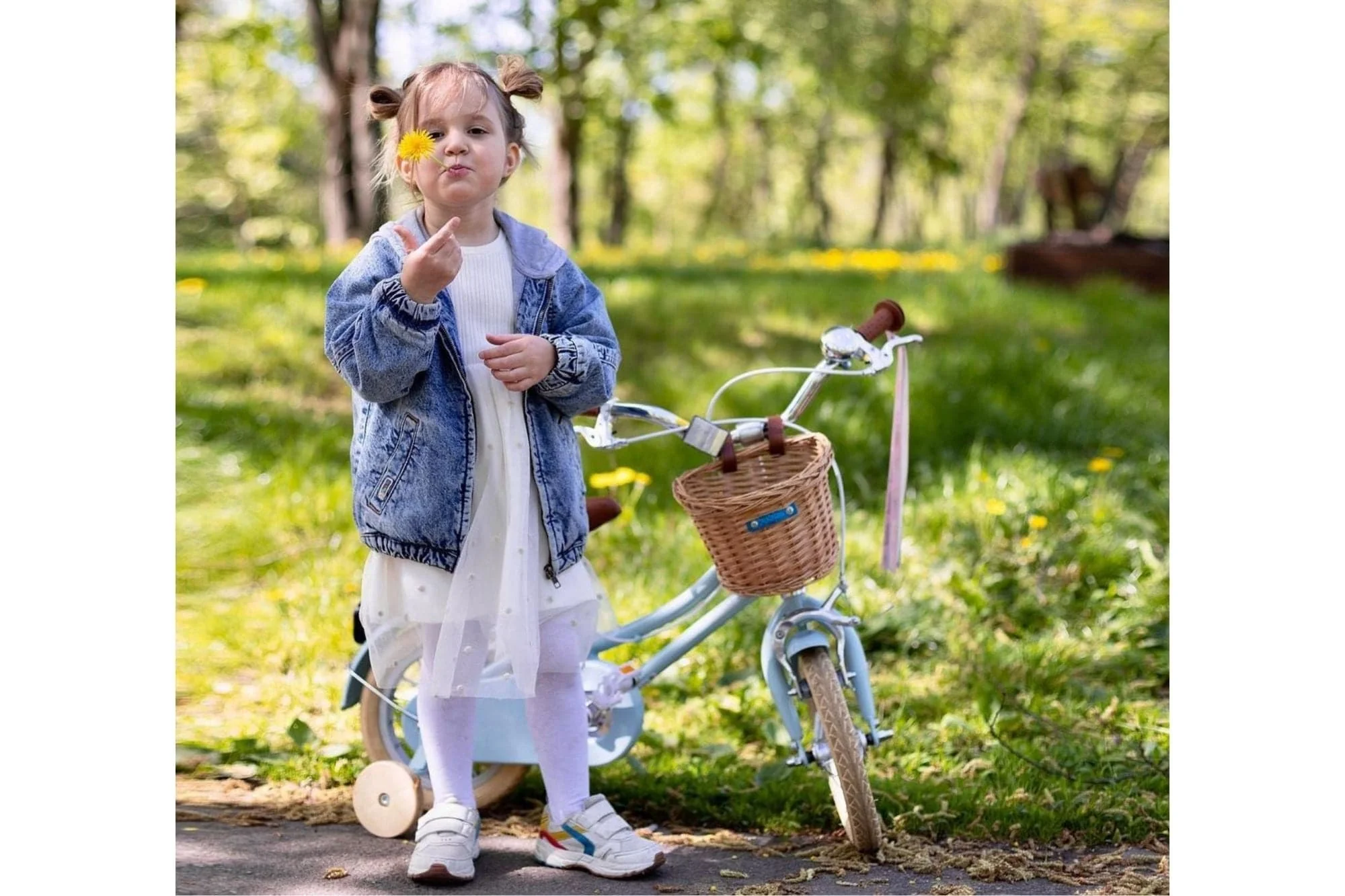 Gingersnap 12" Wheel - Image 52