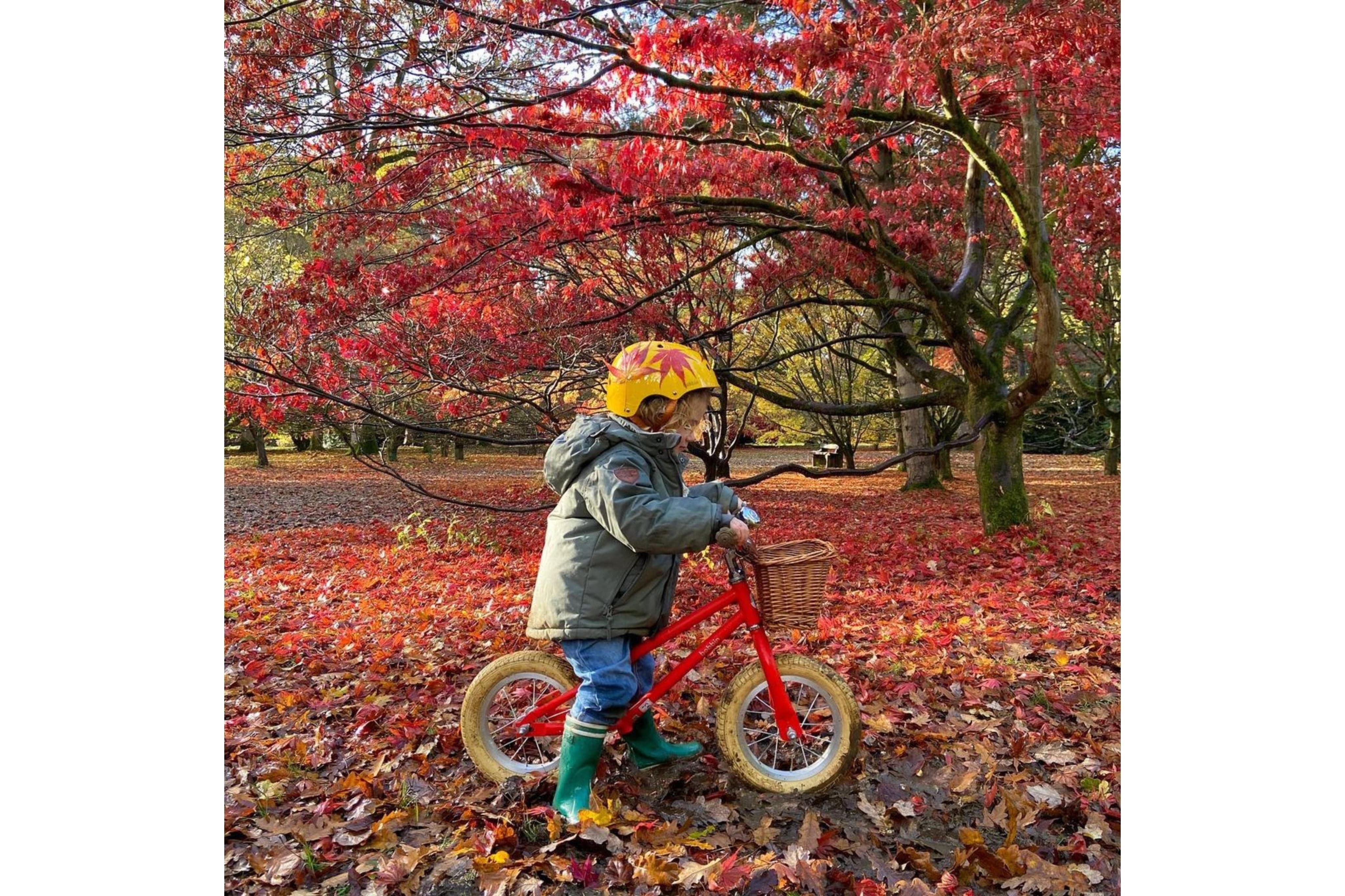 Moonbug 12" Balance Bike - Image 15