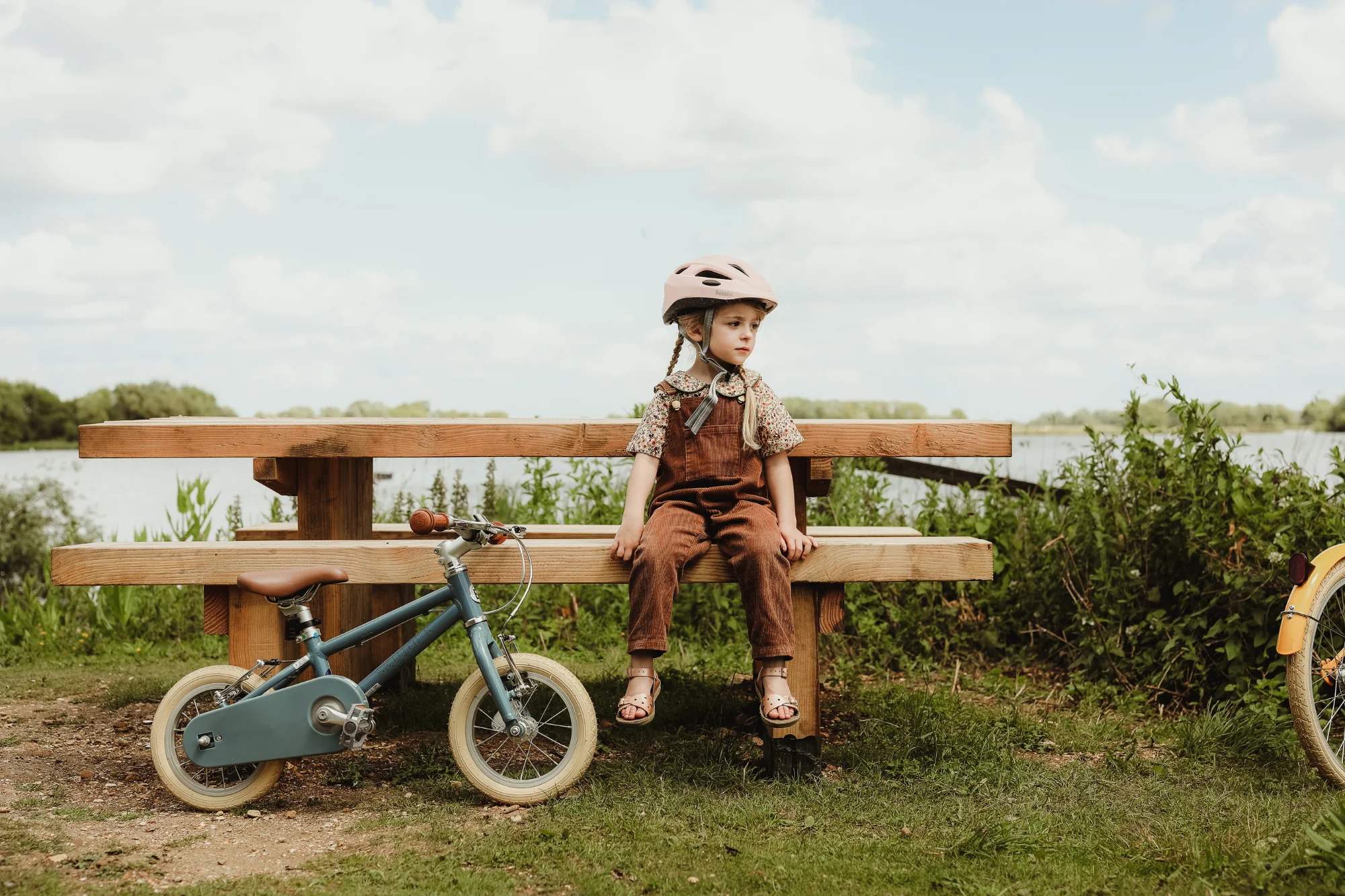 Skylark 12" Wheel - Image 14