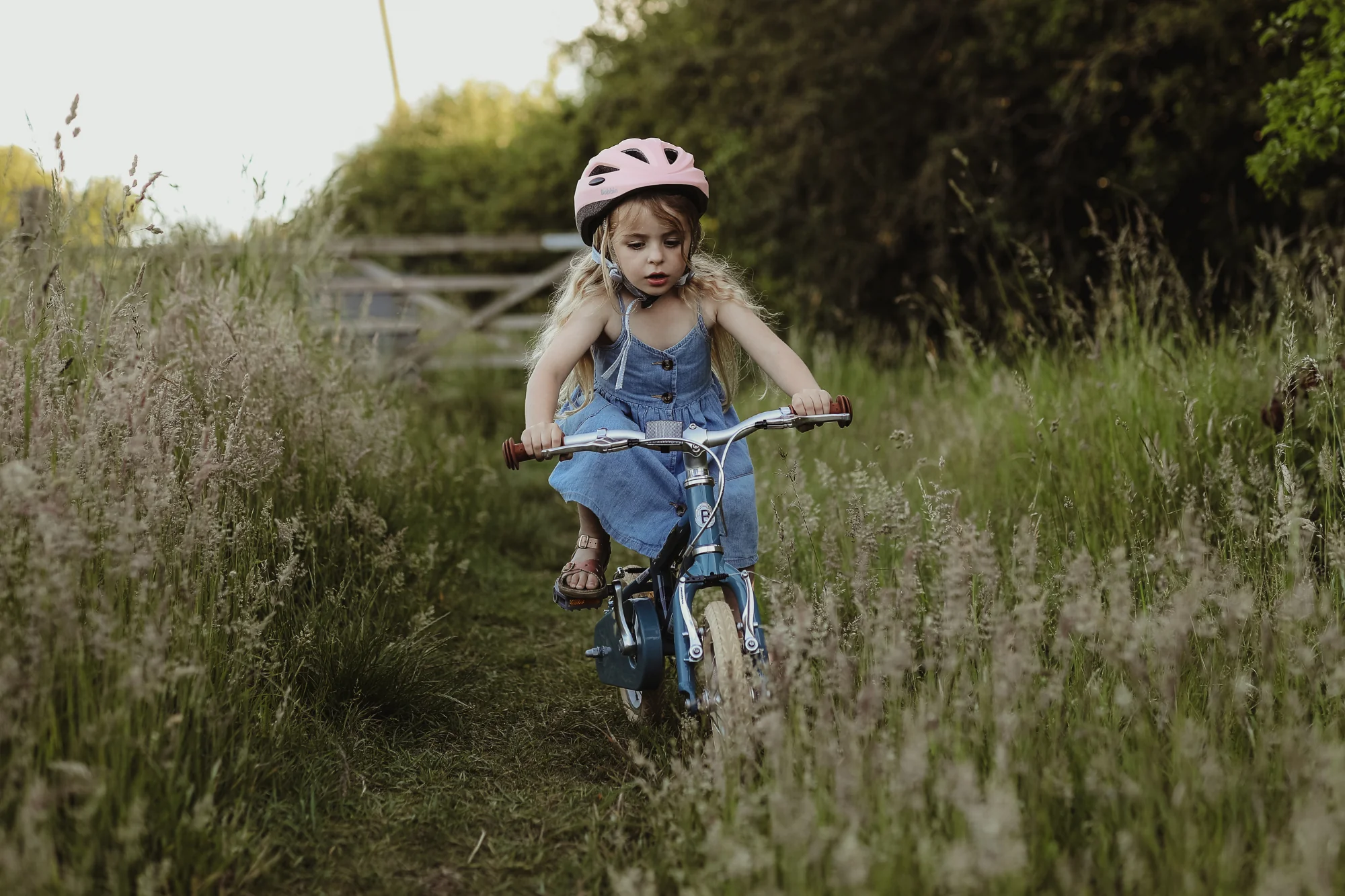 Skylark 12" Wheel - Image 15